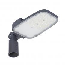 Ledvance LED Straßen- und Parkplatzbeleuchtung STREETLIGHT AREA MEDIUM RV20ST 65W 727