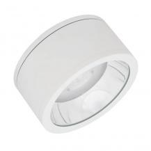 LEDVANCE LED Strahler Surface 45W 36° neutralweißes Licht 4000K weiß IP65