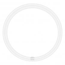 Ledvance T9 LED Röhre TUBE C 40 EM V 24W 840 wie 40W G10q Ringform Universalweiß 4000K