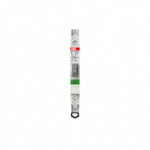 ABB E217-16-01D48 Leuchttaster Grün 16 A, 1 Öffner, 250 V AC mit LED 12-48 V AC/DC