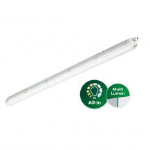 Philips CoreLine WT120C G3 LED-Feuchtraumleuchte 21,5–37,5W, 3.500–6.000 lm, 4000K neutralweiß, 1500 mm, IP66, IK08