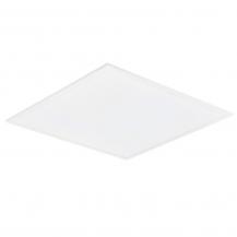 Philips Ledinaire Panel, 28 W, Module 625, VPC, 3400 lm, 4000 K, DALI-regelbar, UGR19 - RC066B 34S/840 PSD W62L62 OC