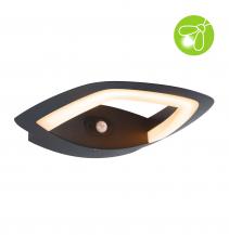 Paulmann 94839 LED Außenwandleuchte Akena Bewegungsmelder insektenfreundlich IP44 243x254mm 2200K 10,8W 800lm 230V Anthrazit Aluminium