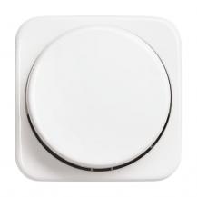 Busch-Jaeger 2115/11-214-500 Zentralscheibe mit Drehknopf Bef.-Mutter und Glimmlampe