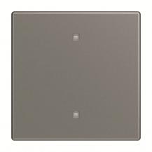 Busch-Jaeger 2570-10-803 2570-10-803 Wippe Elektroniktaster