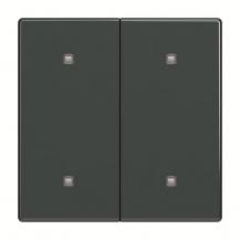 Busch-Jaeger 2570-20-81 2570-20-81 Wippe 2-fach Elekroniktaster