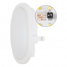 EVN Ovale LED-Anbauleuchte, IP54 LA120125