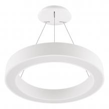 EVN LED Pendelleuchte mit CCT Switch RPD600125