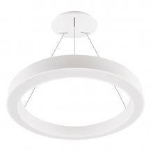 EVN LED Pendelleuchte mit CCT Switch RPD800125