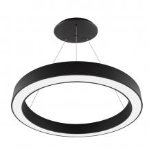 EVN LED Pendelleuchte mit CCT Switch RPD800925
