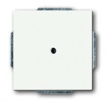 Busch-Jaeger 1742-884 Blindzentralscheibe mit Tragring