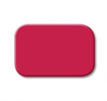 Busch-Jaeger 2525-12 Tastersymbol rot