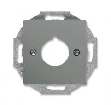 Busch-Jaeger 2533-803 Zentralscheibe mit Tragring
