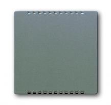 Busch-Jaeger 6541-803 Zentralscheibe für Kühlteil