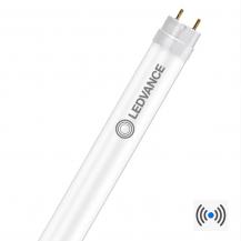 LEDVANCE LED-Röhre T8 G13 600 mm 6,8 W 840 1100 lm 4000 K Neutralweiß mit Bewegungsmelder für KVG/VVG und 230 V inkl. Ersatzstarter